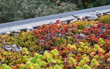 the cost of Pewsey green roof installation