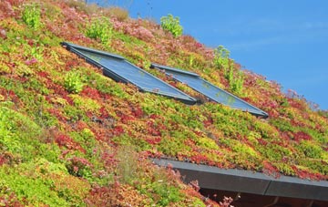 Pewsey living roof systems